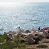 adalar (13)